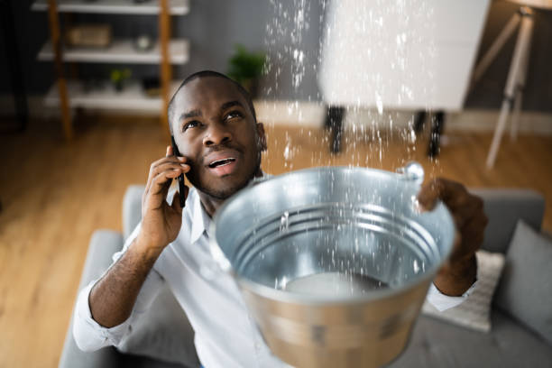 Best Mold removal after water damage  in Saybrook Manor, CT
