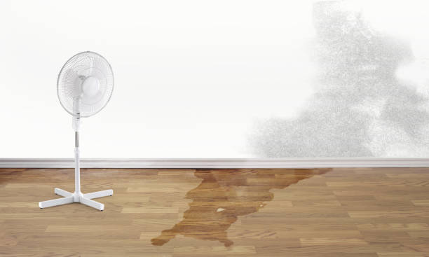 Best 24-hour water damage restoration  in Saybrook Manor, CT