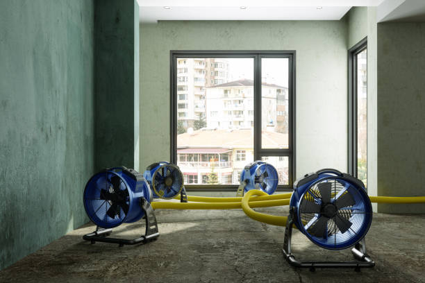 Best Local water damage restoration  in Saybrook Manor, CT